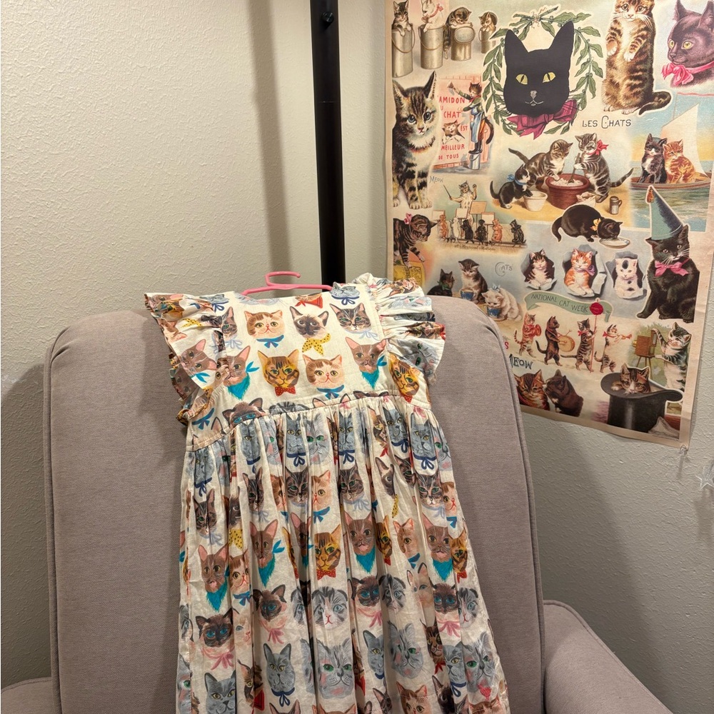 Pink Chicken Cat Dress